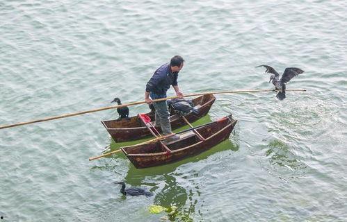 网红脚踏8条船事件,揭秘网络红人的情感纠葛与道德争议